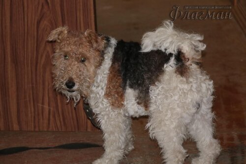 Берег весёлых Робинзонов 2017